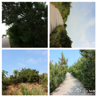 鸡鸣岛渔家乐 