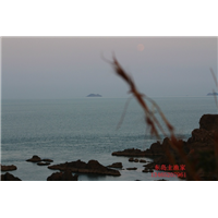 东岛主渔家 