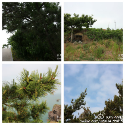 鸡鸣岛渔家乐 