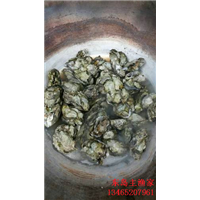 东岛主渔家