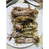鸡鸣岛渔家乐&鸡鸣岛美食 