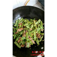 东岛主渔家