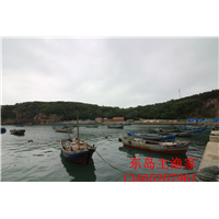 鸡鸣岛渔家乐