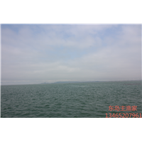 鸡鸣岛渔家乐