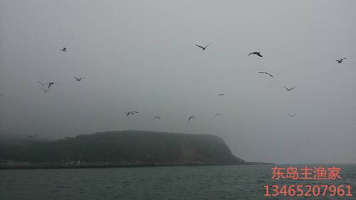 鸡鸣岛渔家乐 
