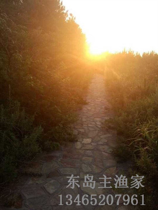 鸡鸣岛渔家乐