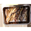 鸡鸣岛爸爸去哪儿鸡鸣岛渔家乐