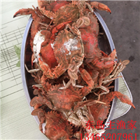 鸡鸣岛渔家乐 