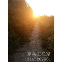 鸡鸣岛渔家乐