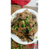 东岛主渔家