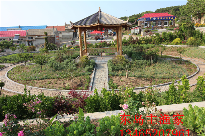 鸡鸣岛渔家乐
