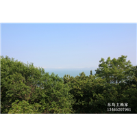 鸡鸣岛渔家乐 