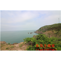 鸡鸣岛渔家乐