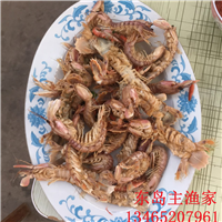 东岛主渔家