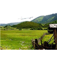 林芝旅游包车公司 