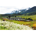 西藏林芝旅游包车 