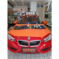 太阳膜隔热案例5 