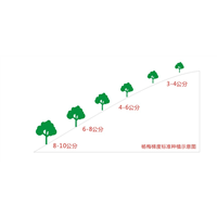 新开发生态杨梅基地