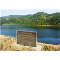 浙江杨梅供应