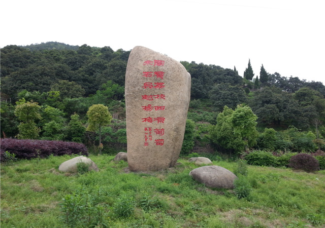 余姚杨梅销售