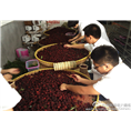 浙江杨梅批发