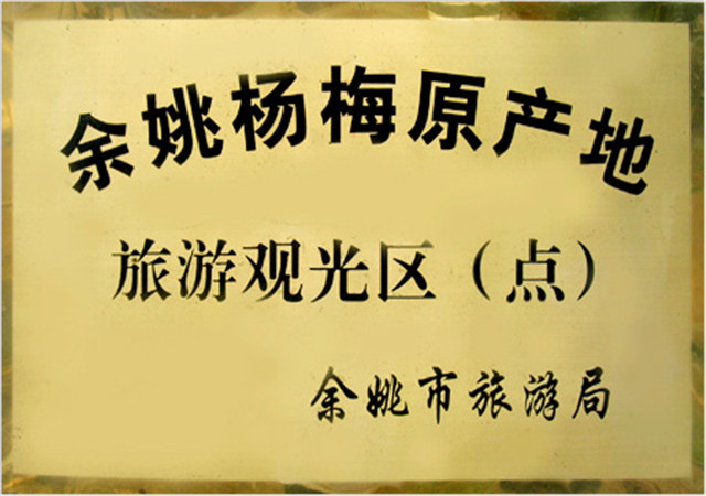 余姚杨梅|杨梅苗木 