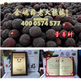荸荠品种|浙江荸荠杨梅|荸荠品种 