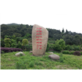 余姚杨梅销售