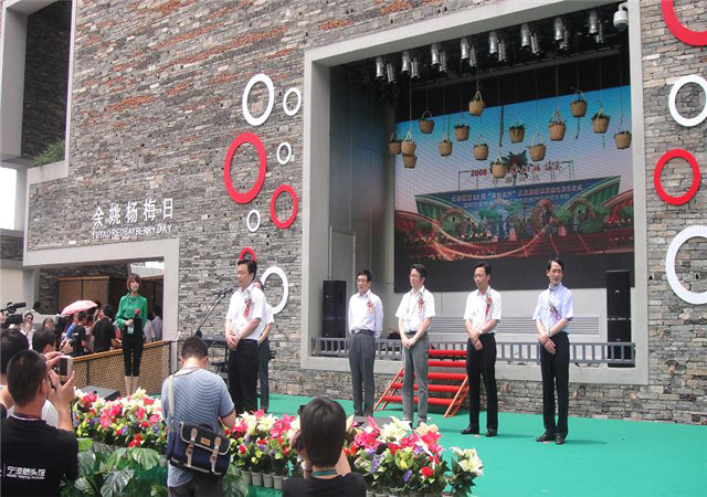 浙江杨梅苗批发