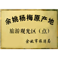 余姚杨梅|杨梅苗木 