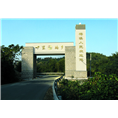 浙江杨梅出售