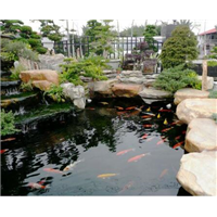 百色假山鱼池，百色喷泉水景，百色园林小品设计 
