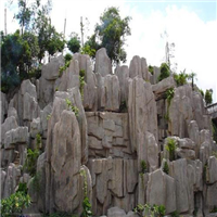 百色水泥塑山，百色仿真树，百色雕塑 