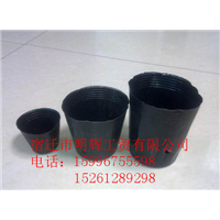 江苏营养钵￥江苏营养钵厂家 