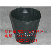 育苗江苏营养钵 