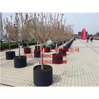 江苏控根器厂家直销－江苏控根器厂家