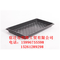 江苏育苗穴盘 