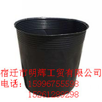 江苏营养钵￥江苏营养钵 