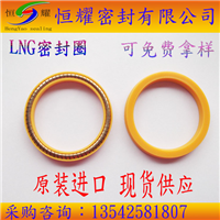 FCM进口LNG、CNG密封圈 03
