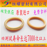 FCM进口LNG、CNG密封圈 02