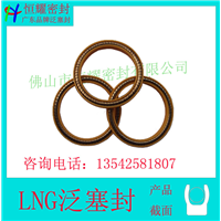 FCM进口LNG、CNG密封圈04