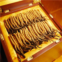 石家庄冬虫夏草回收