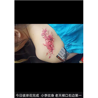 仁寿哪里可以纹身多少钱一个
