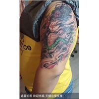 仁寿文林镇半臂刺青哪家干净卫生