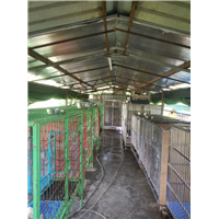 深圳训犬公司 