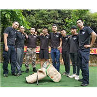 深圳宠物犬训练 