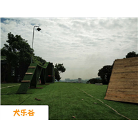 深圳训犬俱乐部 