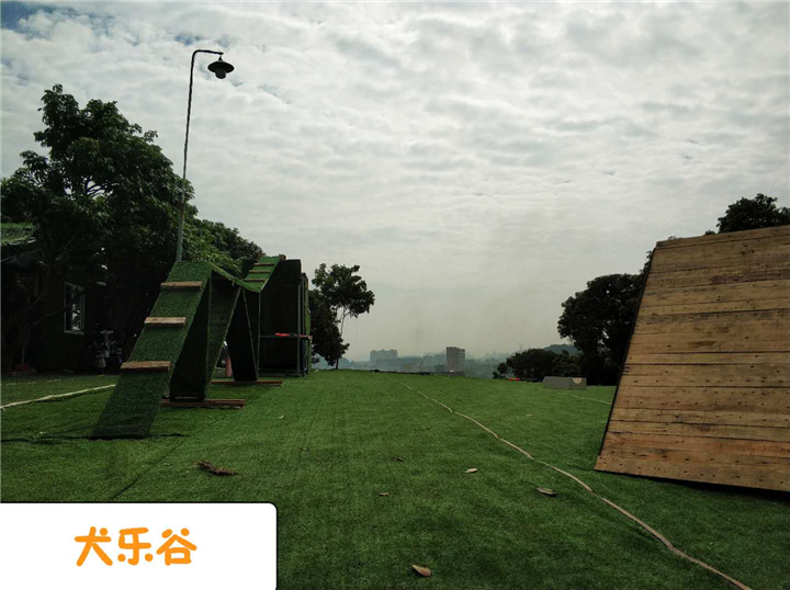 深圳训犬俱乐部 