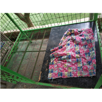 深圳实战犬训练 