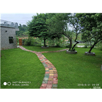 深圳训犬俱乐部 